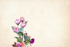 Blume Hintergrund