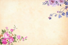 Fleur, floral, arrière-plan, frontière