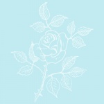 Flower Rose Outline Illustration