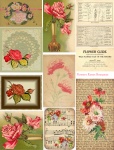 Collage de fleurs Roses Bouquets