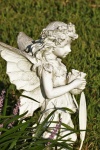 Garden Fairy