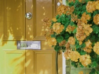 Hanging Flowers by Front Door