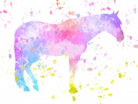 Splatter da pintura do cavalo colorido