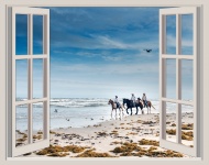 Cavalli sulla finestra della spiaggia