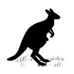 Kangoeroe, vector, silhouet, springen