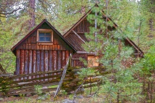 Cabine de lemn în pădure