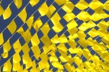 Multe steaguri mici galbene