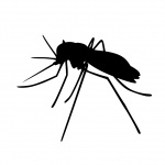Mosquito, insectos, silueta
