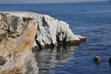 Ocean Cliffs With Cormorant Birds