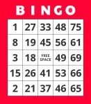 Um cartão de bingo