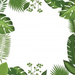 Marco tropical de hojas de palma