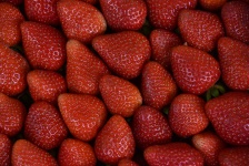 Pattern of Strawberries