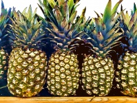 Cartone animato di ananas