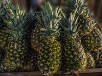 Pineapples Stacked Up In The Market