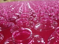 Pink Beauty Bottles