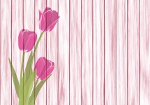 Pink Tulips And Wall Background