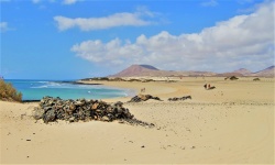 Playa del Moro i Fuerteventura