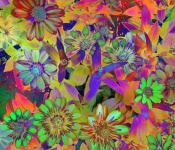 Rainbow Flowers Background