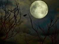 Cuervo y luna llena