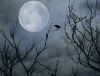 Corbeau et la pleine lune