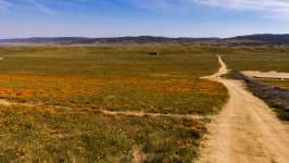 Road to the Poppies