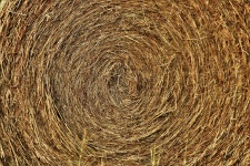 Round Hay Bale Background