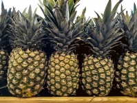 Row Of Pineapples