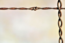Rusty Barbed Wire Background