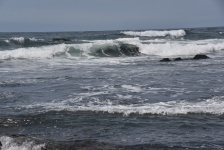 Pequenas ondas na praia de Asilomar