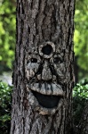 Cara sonriente en el árbol