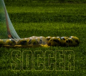 Soccer Poster DIY