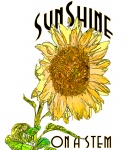 Sunshine pe o floarea-soarelui Stem