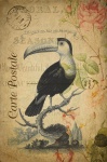 Toucan Vintage Blumen Postkarte