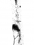 Clipart del tronco d'albero