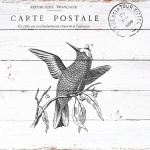Weinlese-Vogel-rustikale Postkarte