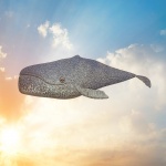 Whale In Clouds