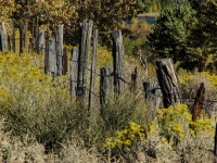 Забор проволоки и дерева 3