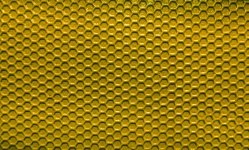 Yellow Waffle Texture Background