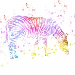 Pintura De Zebra Splatter Colorido
