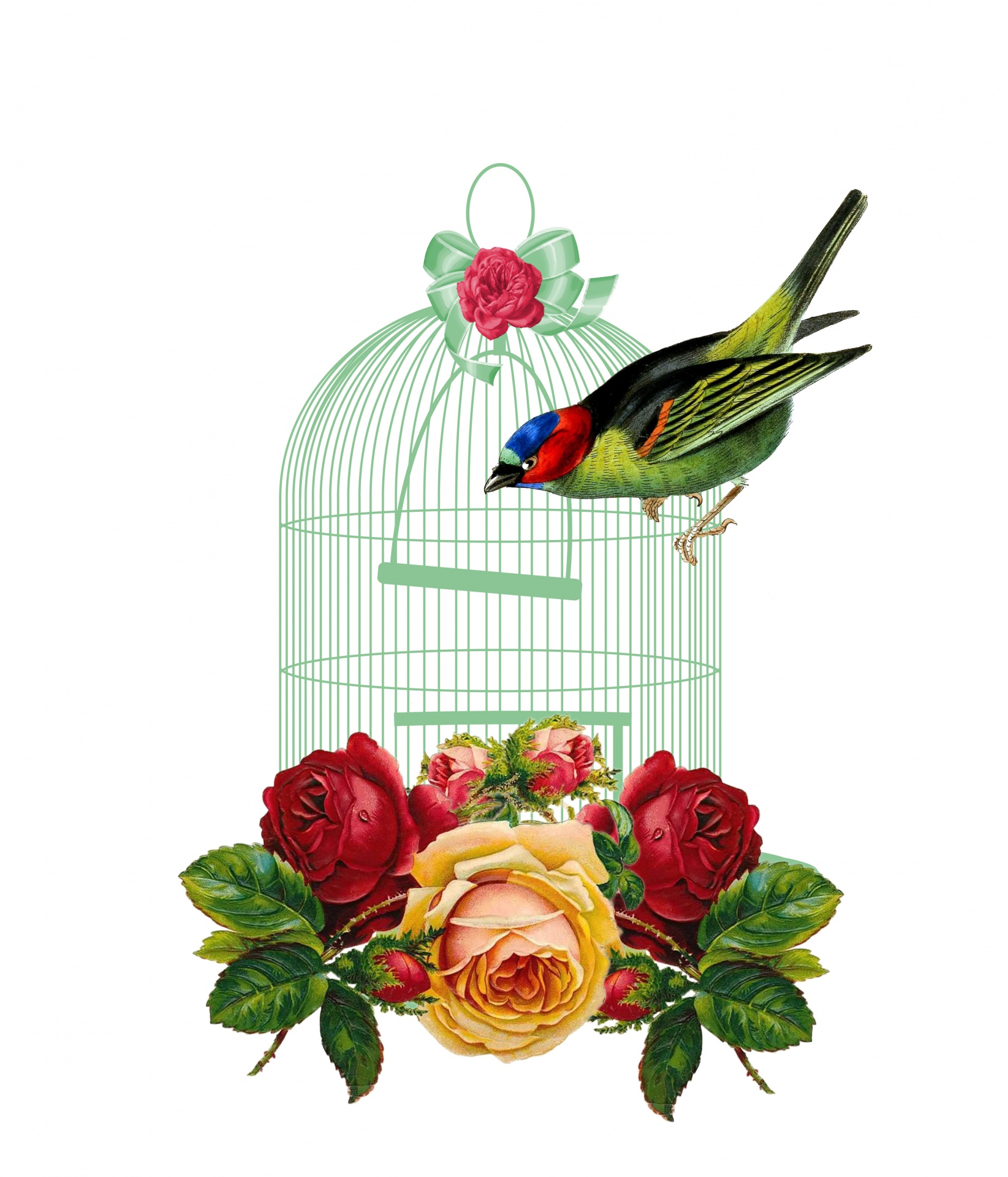 Bird Růže Cage Vintage