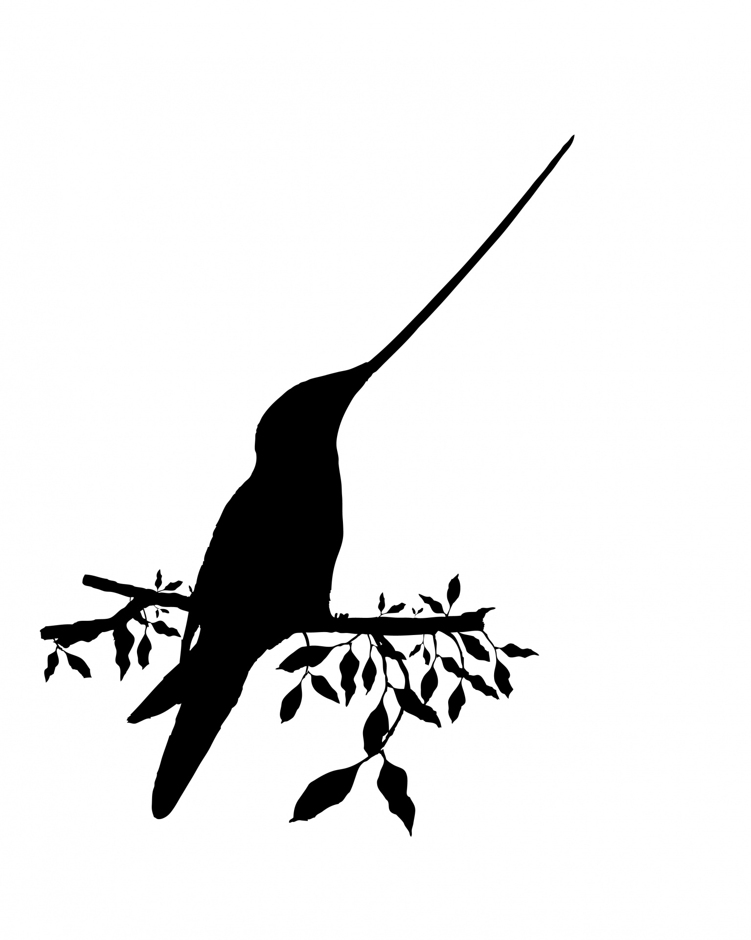Bird Silhouette Hummingbird Free Stock Photo - Public Domain Pictures