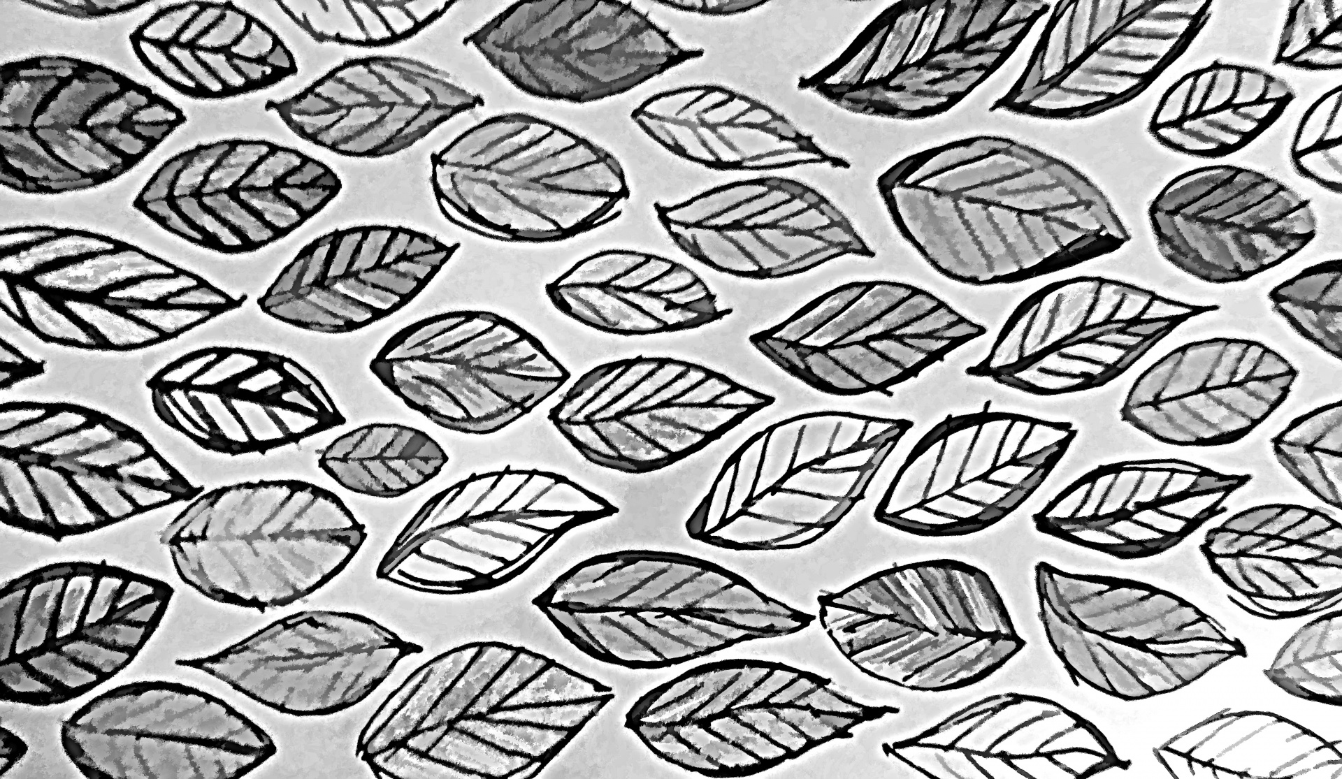 Листья Фото Черно Белое