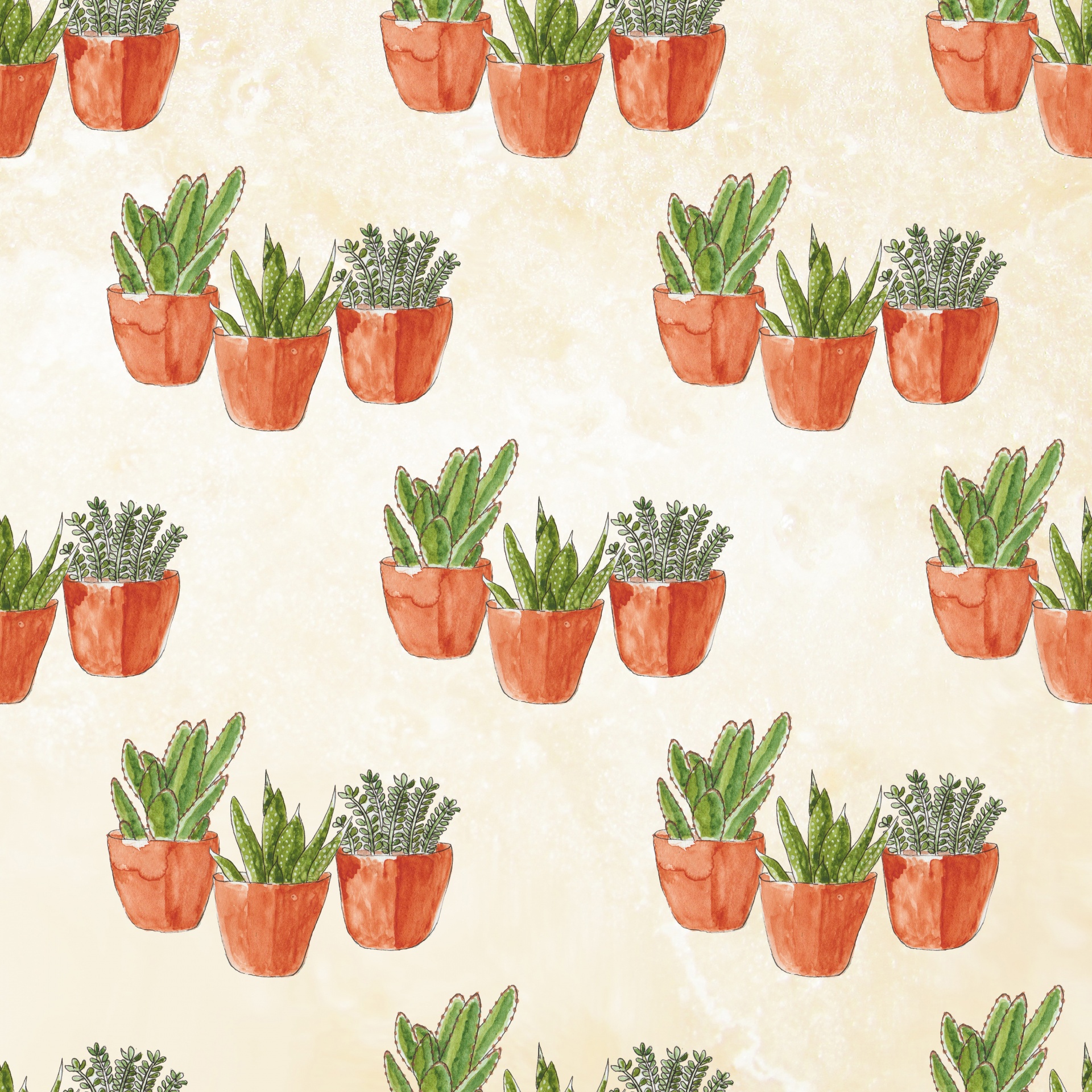 Cactus Pot Plants Wallpaper