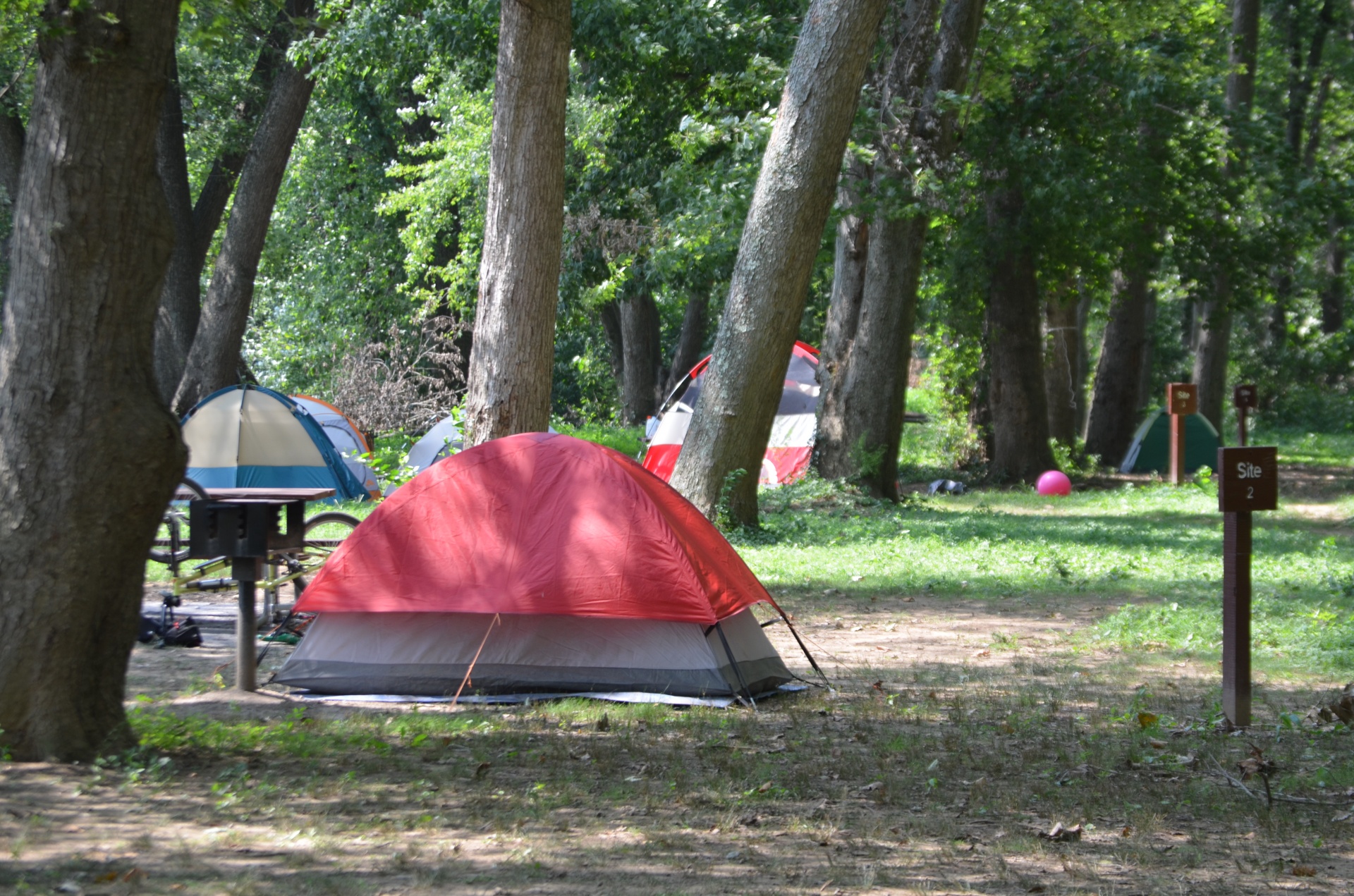 Camping Free Stock Photo - Public Domain Pictures