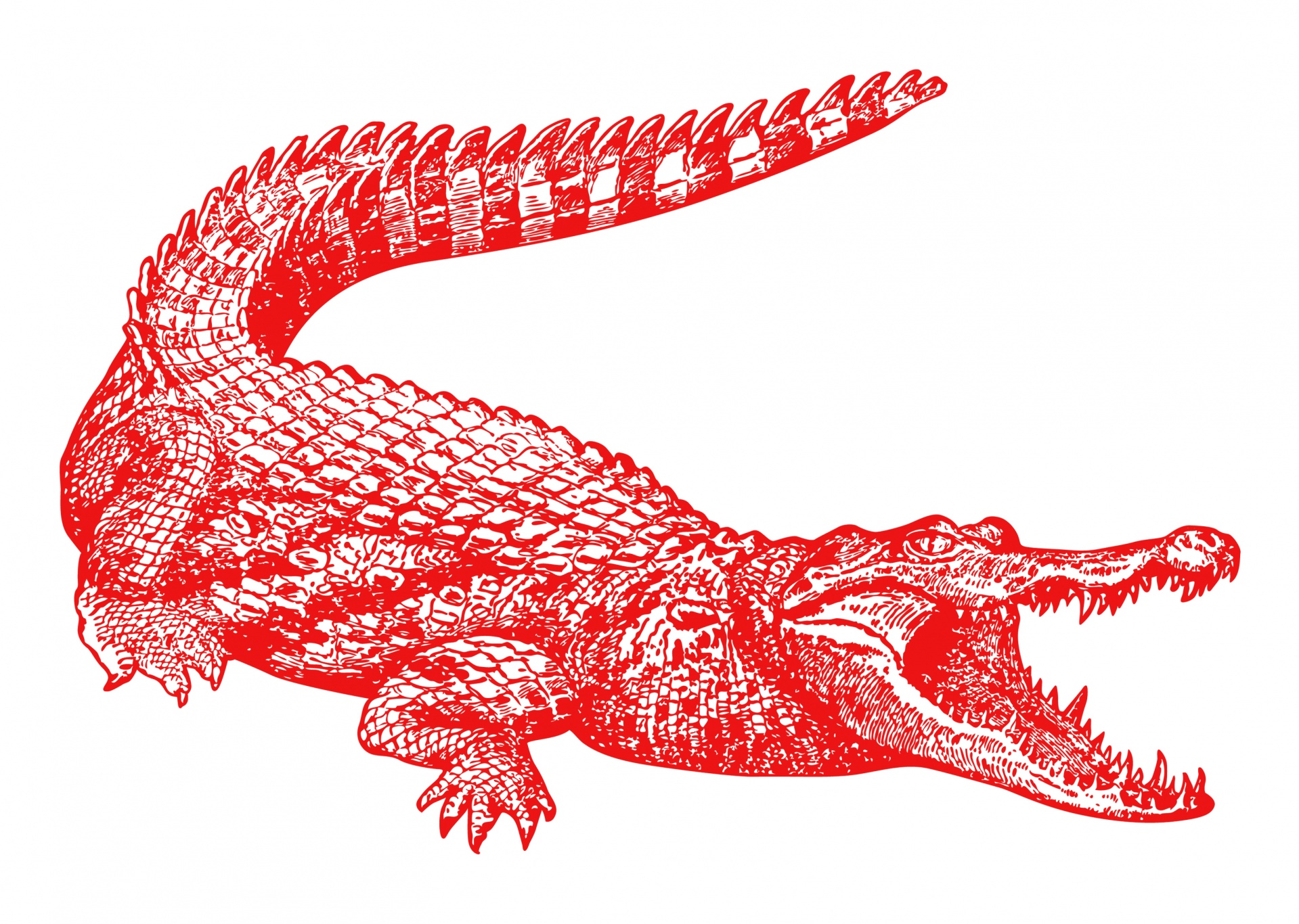 Crocodile Vintage Illustration Red