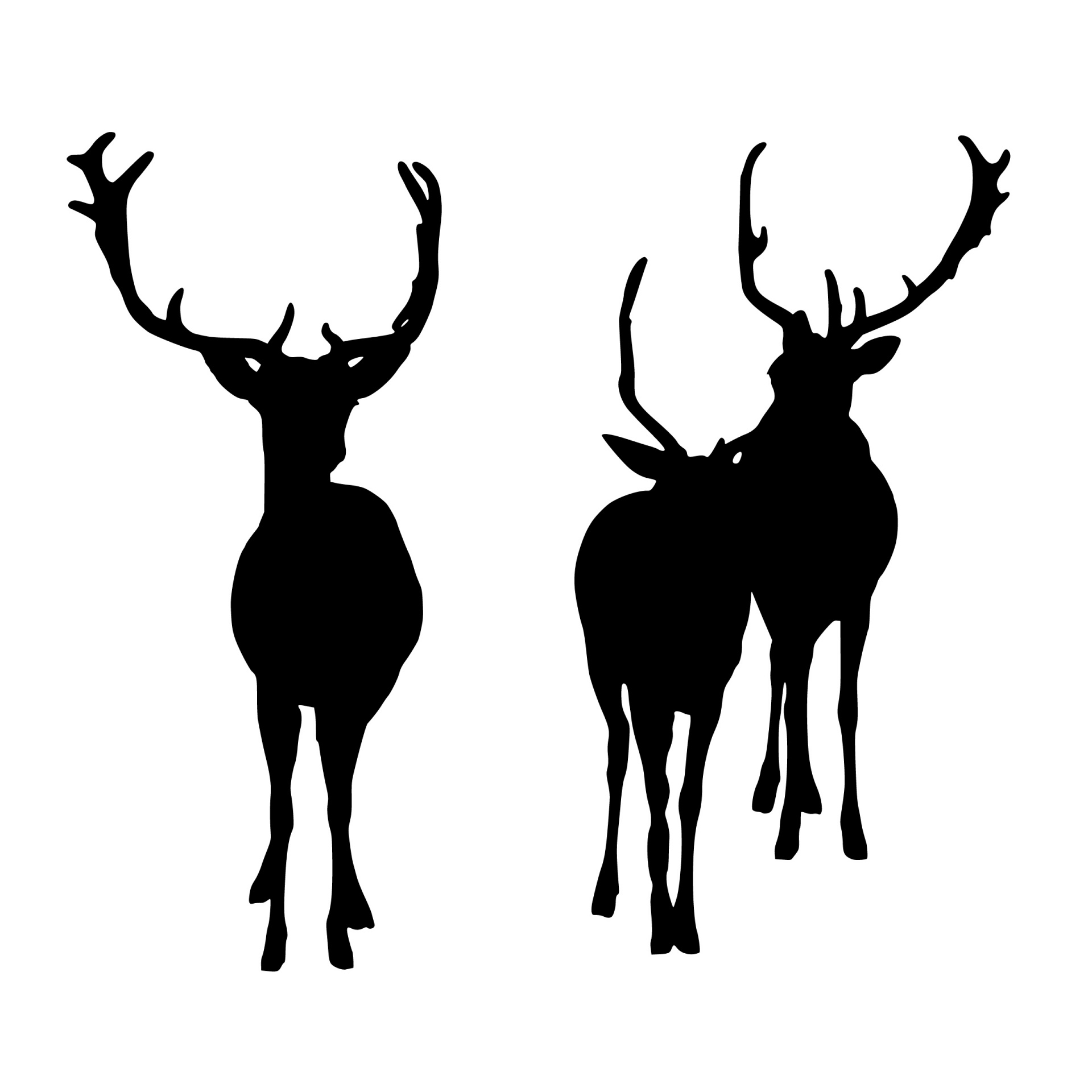 鹿，畜群，野生动物，自然