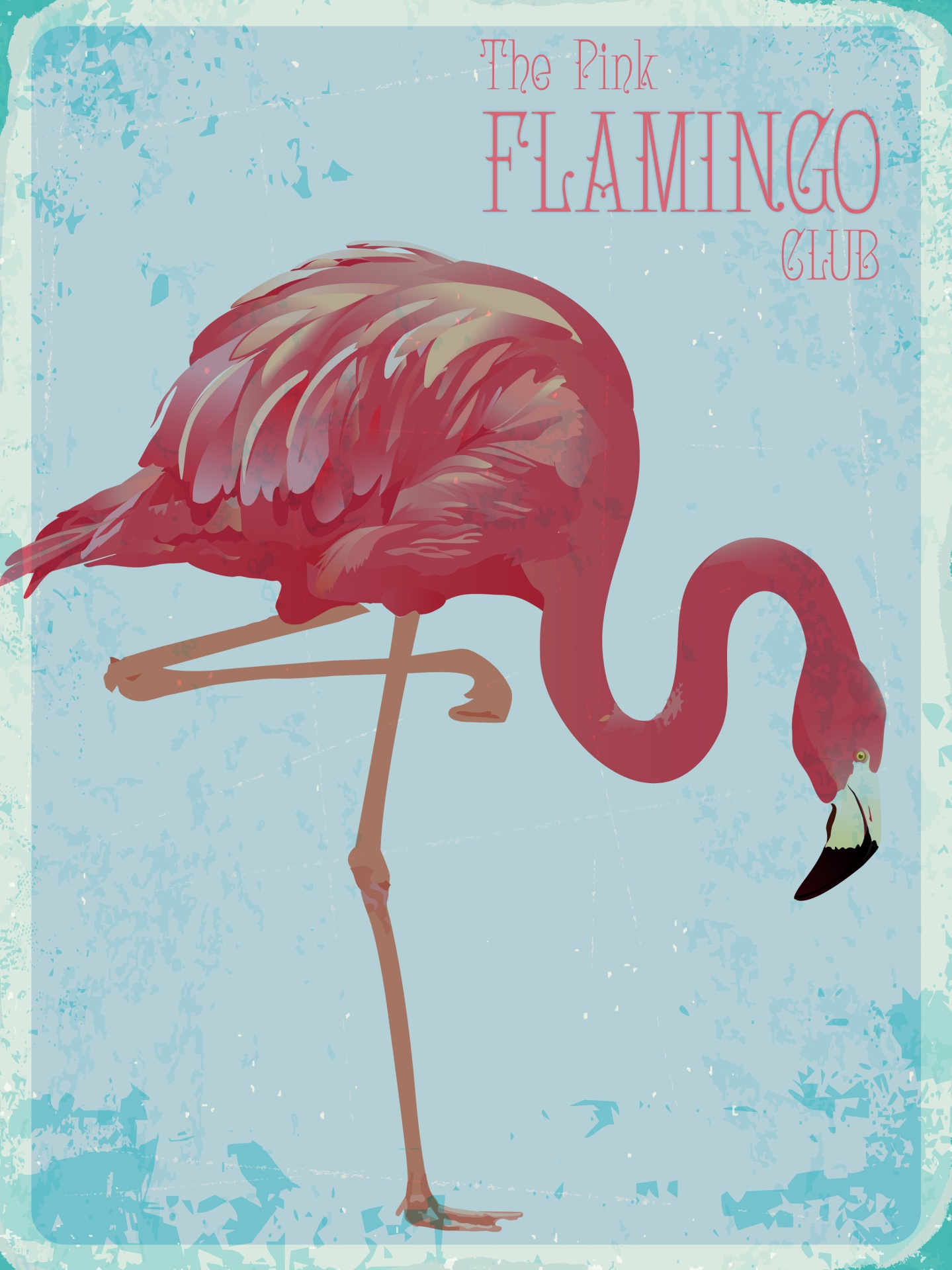 Affiche Vintage Flamingo Bird