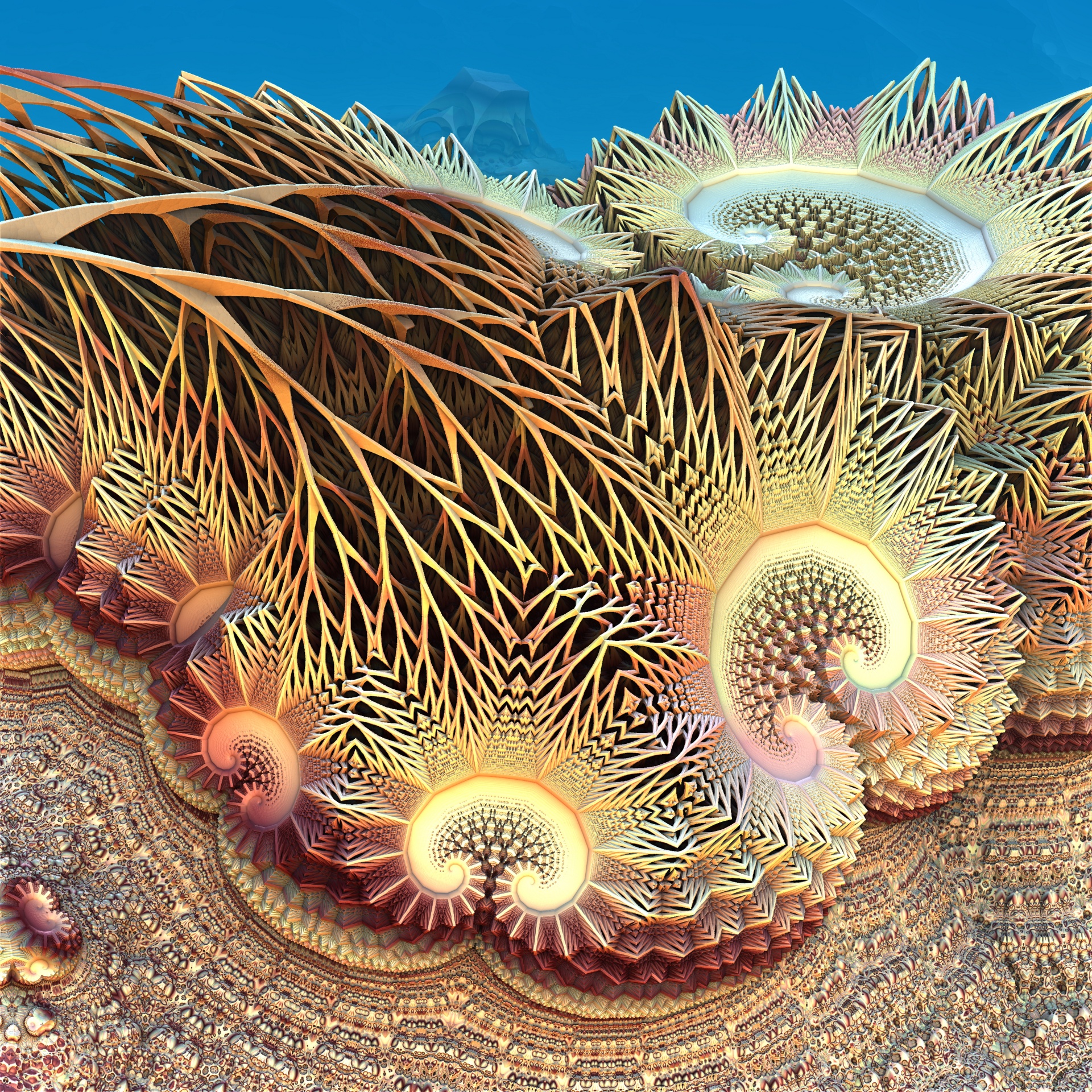 Fractal Coral Free Stock Photo - Public Domain Pictures