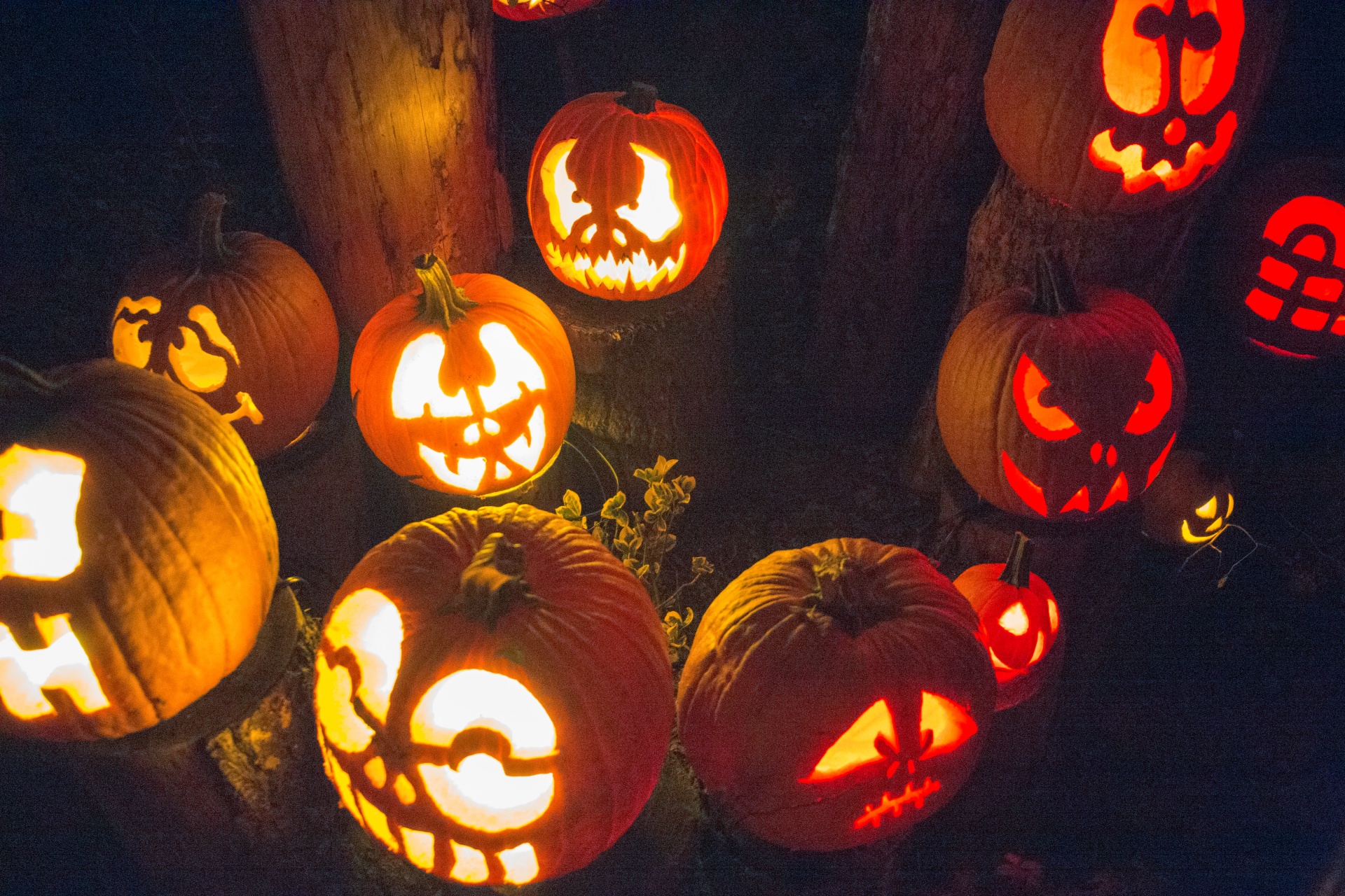 Halloween Jack O'Lanterns Free Stock Photo - Public Domain Pictures