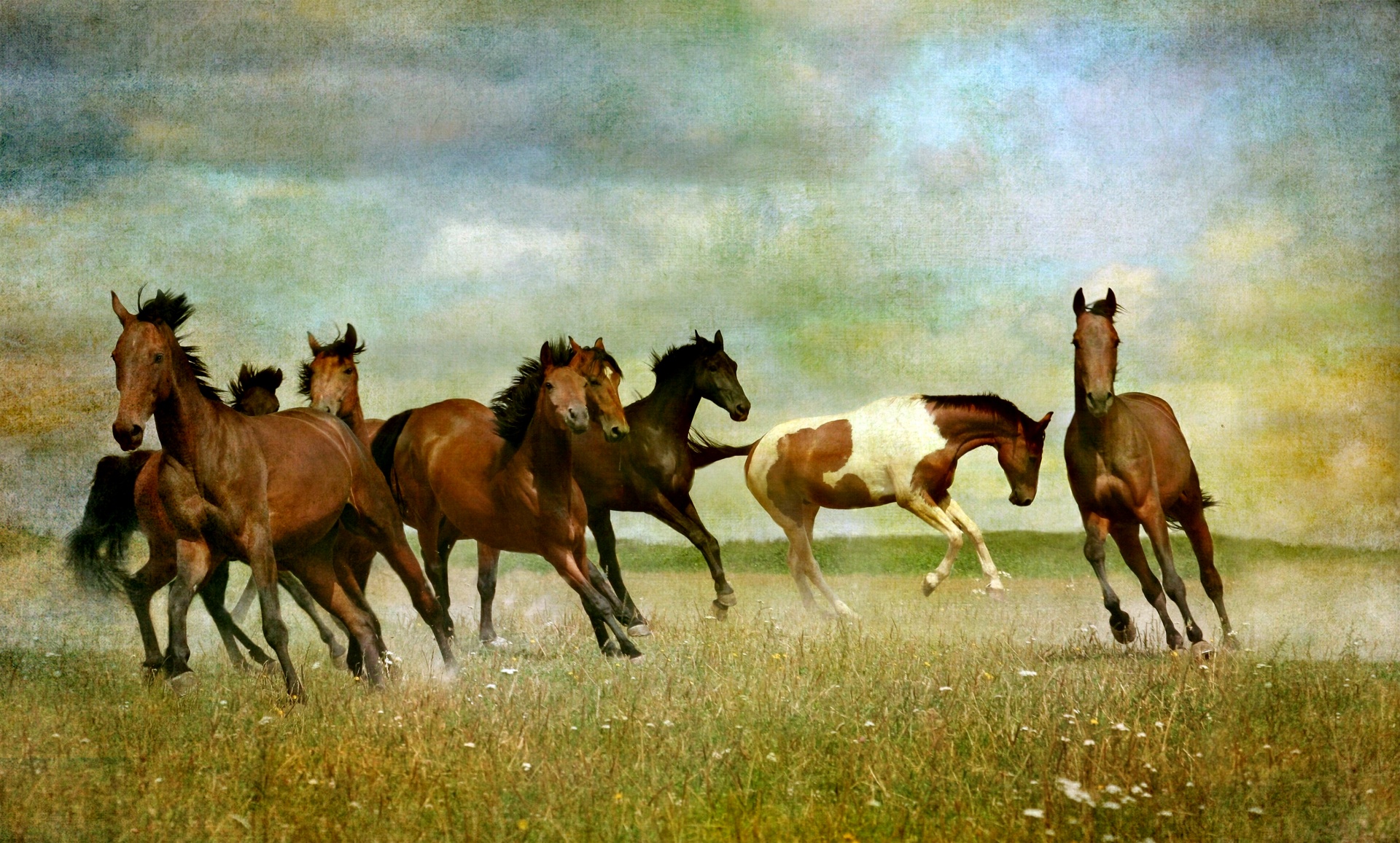Koń Wild Vintage Painting